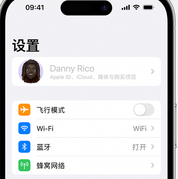 马关appleID维修服务iPhone设置中Apple ID显示为灰色无法使用 