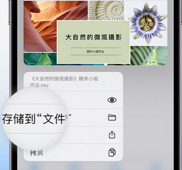 马关apple维修中心分享iPhone文件应用中存储和找到下载文件