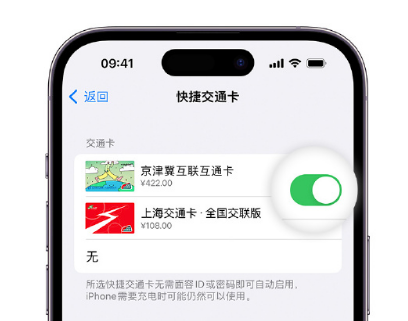 马关apple维修点分享iPhone上更换Apple Pay快捷交通卡手绘卡面 