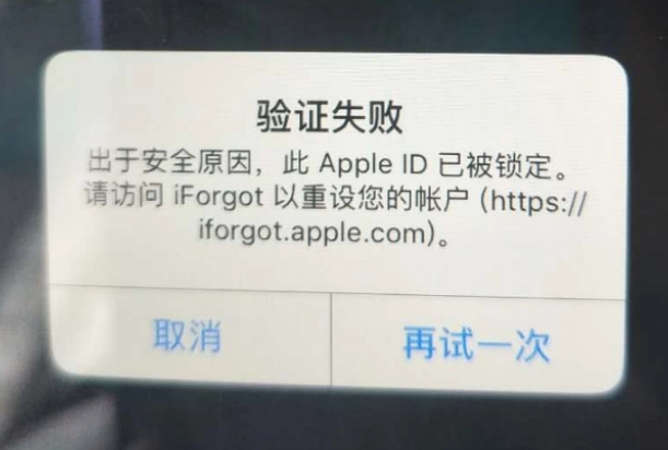 马关iPhone维修分享iPhone上正常登录或使用AppleID怎么办 