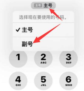 马关苹果14维修店分享iPhone 14 Pro Max使用副卡打电话的方法 