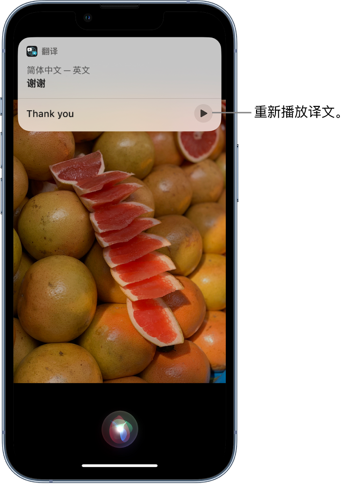 马关苹果14维修分享 iPhone 14 机型中使用 Siri：了解 Siri 能帮你做什么 