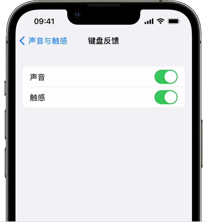 马关苹果14维修分享iPhone 14 系列机型如何开启键盘声音或触感反馈 