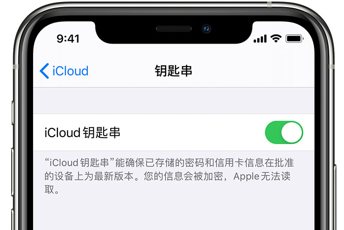 马关苹果手机维修分享在 iPhone 上开启 iCloud 钥匙串之后会储存哪些信息 