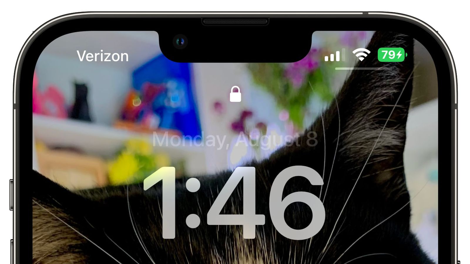 马关苹果手机维修分享iOS 16 beta 5 支持状态栏显示电池百分比，如何开启？支持哪些机型 