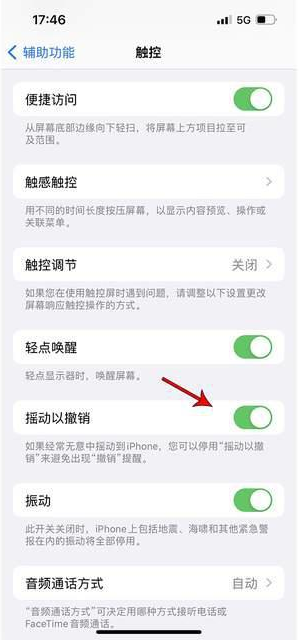 马关苹果手机维修分享iPhone手机如何设置摇一摇删除文字 