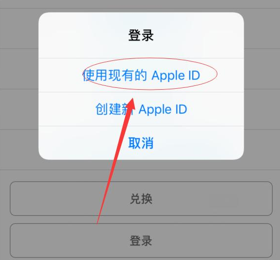 马关苹果手机维修分享两台iPhone设备可以同时登录一个Apple ID吗 