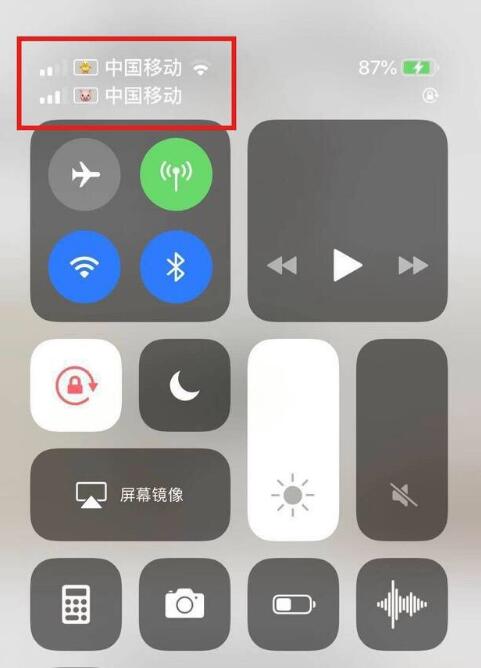 马关苹果手机维修分享为 iPhone 12 双卡设置标签 